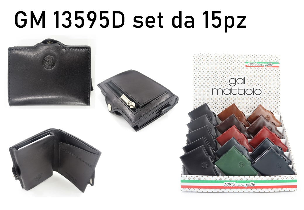 GAI 13595