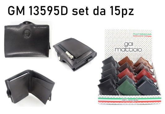 GAI 13595